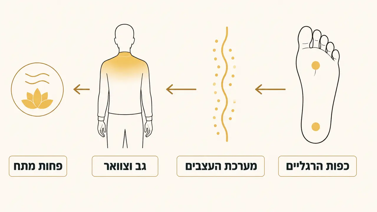 רפלקסולוגיה לכאבי גב או כאבי ראש האם זה רלוונטי
